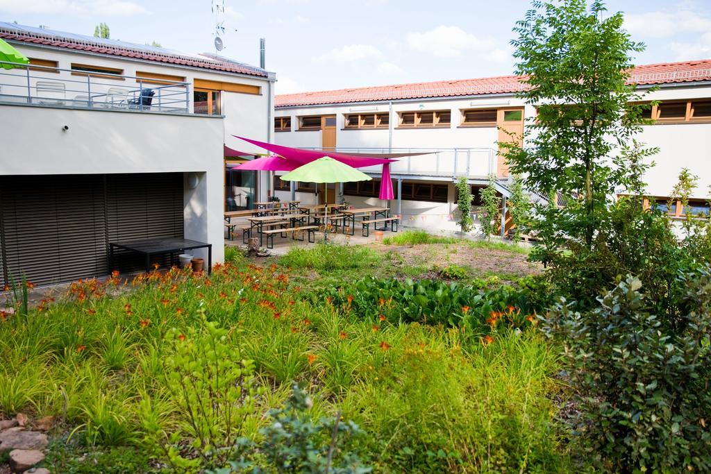 Hôtel Air Et Vie à Marmoutier Extérieur photo