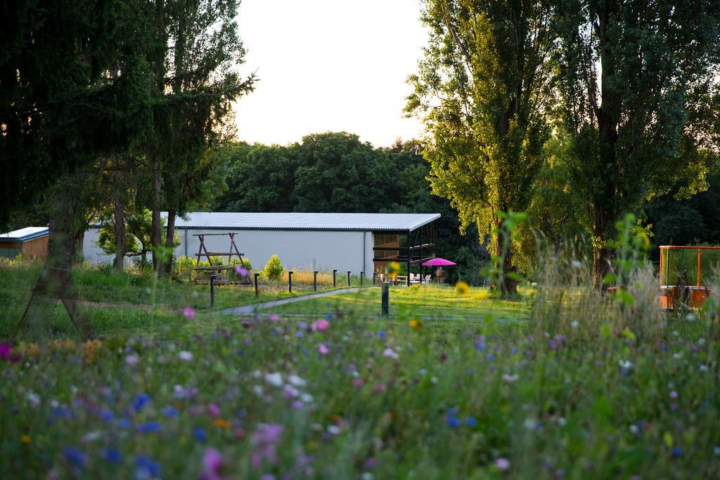 Hôtel Air Et Vie à Marmoutier Extérieur photo